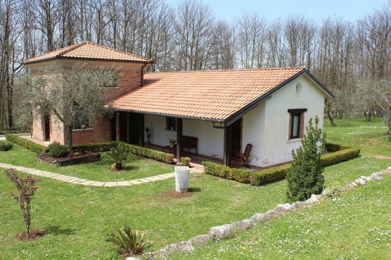 Agriturismo IL CASTAGNETO Padula Exterior foto